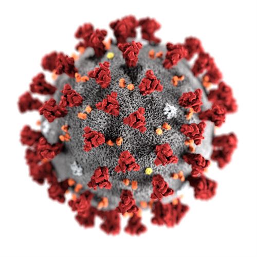 virus molecule